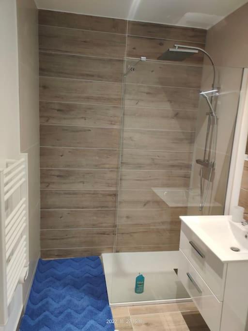 Logement Complet A Villeurbanne Ngoại thất bức ảnh