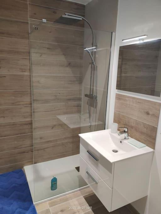 Logement Complet A Villeurbanne Ngoại thất bức ảnh